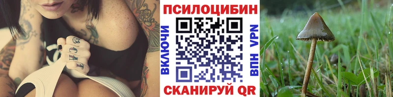 Купить  Краснознаменск  Галлюциногенные грибы прущие грибы 